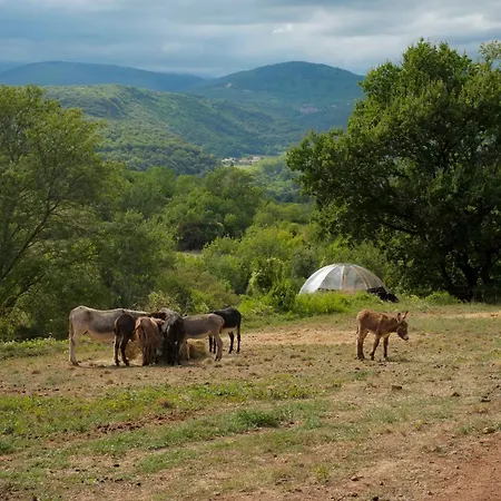 Luxe tent Les Cabanes-tipi Jerolamo En Pleine Nature La Tour-sur-Orb