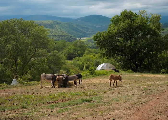 Luksustelt Les Cabanes-tipi Jerolamo En Pleine Nature La Tour-sur-Orb